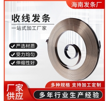 收線發條小鉆床發條彈簧立鉆配件復位渦卷彈片